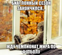Биатлонный сезон закончился... Жду Чемпионат мира по футболу
