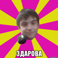  Здарова