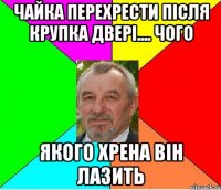 ЧАЙКА ПЕРЕХРЕСТИ ПІСЛЯ КРУПКА ДВЕРІ.... ЧОГО ЯКОГО ХРЕНА ВІН ЛАЗИТЬ