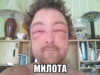  милота