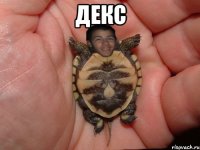 декс 