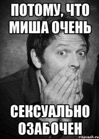 ПОТОМУ, ЧТО МИША ОЧЕНЬ СЕКСУАЛЬНО ОЗАБОЧЕН