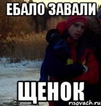 Ебало завали щенок