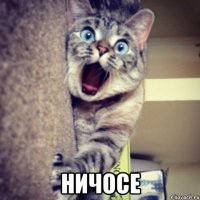  ничосе
