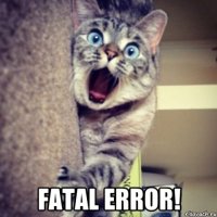  Fatal ERROR!