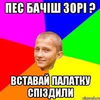 ПЕС БАЧІШ ЗОРІ ? ВСТАВАЙ ПАЛАТКУ СПІЗДИЛИ