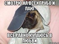Смотрю на всех грубо и лаю Все равно купаюсь в любви