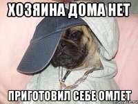 Хозяина дома нет Приготовил себе омлет