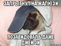 Запрыгнул на жалюзи Позавидовал б даже Джей Зи