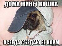 Дома живет кошка Всегда съедаю ее корм