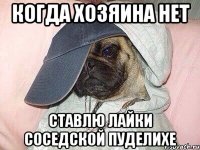 Когда хозяина нет Ставлю лайки соседской пуделихе