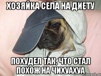 хозяйка села на диету похудел так, что стал похож на чихуахуа