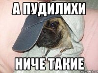 а пудилихи ниче такие