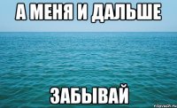 А МЕНЯ И ДАЛЬШЕ ЗАБЫВАЙ