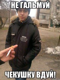 не гальмуй чекушку вдуй!