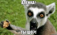 АЛЁНКА! ТЫ ШО?!