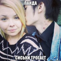 панда сиськи трогает