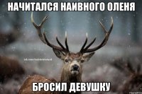 начитался наивного оленя бросил девушку