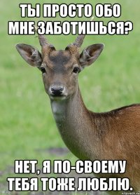 Ты просто обо мне заботишься? Нет, я по-своему тебя тоже люблю.