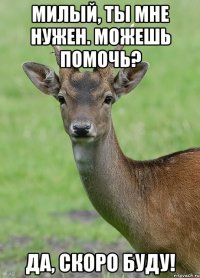 Милый, ты мне нужен. Можешь помочь? Да, скоро буду!