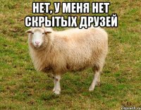нет, у меня нет скрытых друзей 