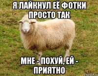я лайкнул её фотки просто так мне - похуй, ей - приятно