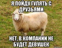я пойду гулять с друзьями нет, в компании не будет девушек