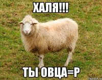 Халя!!! ты овца=p