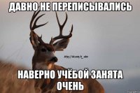 давно не переписывались наверно учёбой занята очень