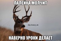 палейка молчит наверно уроки делает