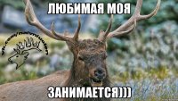 Любимая моя занимается)))