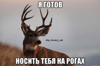 я готов носить тебя на рогах
