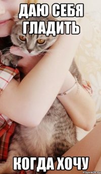 даю себя гладить когда хочу