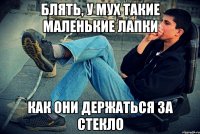блять, у мух такие маленькие лапки как они держаться за стекло