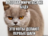 Я первая мириться не буду это коты делают первые шаги