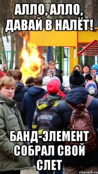 Алло, алло, давай в налёт! Банд-элемент собрал свой слет