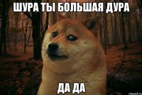 шура ты большая дура да да