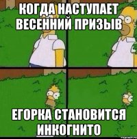 Когда наступает Весенний призыв егорка становится инкогнито
