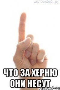  ЧТО ЗА ХЕРНЮ ОНИ НЕСУТ