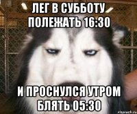 Лег в субботу полежать 16:30 И проснулся утром блять 05:30