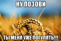 Ну позови Ты меня уже погулять!!!