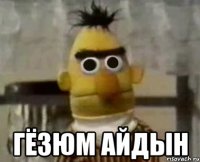  Гёзюм айдын