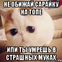 Не обижай Сарайку на топе или ты умрешь в страшных муках