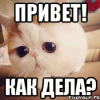 Привет! как дела?