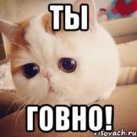 ТЫ говно!