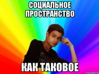Социальное пространство Как ТАКОВОЕ