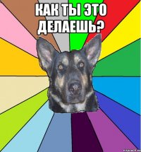 как ты это делаешь? 
