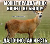 Может правда у них ничего не было? да,точно,так и есть