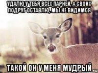 Удалю у тебя всех парней, а своих подруг оставлю, мы не видимся Такой он у меня мудрый