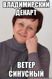владимирский Декарт ветер синусный